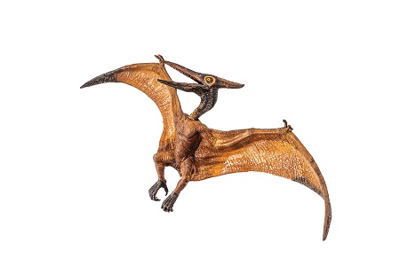 Pteranodon (Pterodactyl) flying Dinosaur 