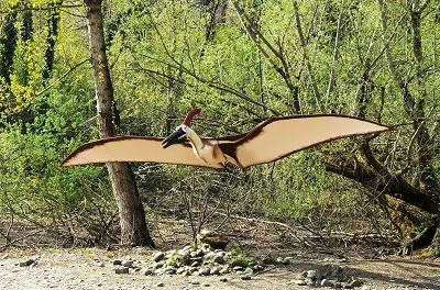 Germanodactylus flying dinosaur