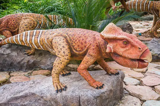 longest dinosaur name - micropachycephalosaurus