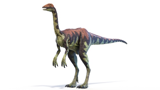 Archaeornithomimus 3rd  longest name dinosaur