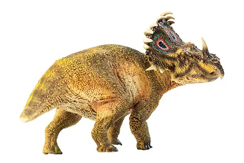 SINOCERATOPS large horned dinosaur