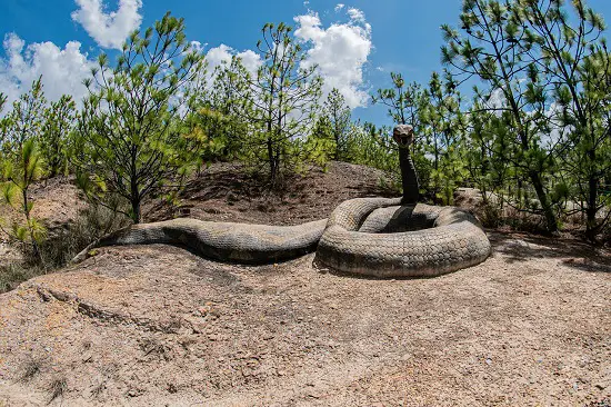 snakes and dinosaurs
Are Dinosaurs Reptiles