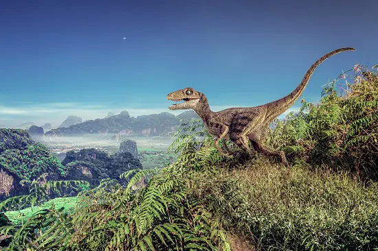 most popular dinosaur - velociraptor