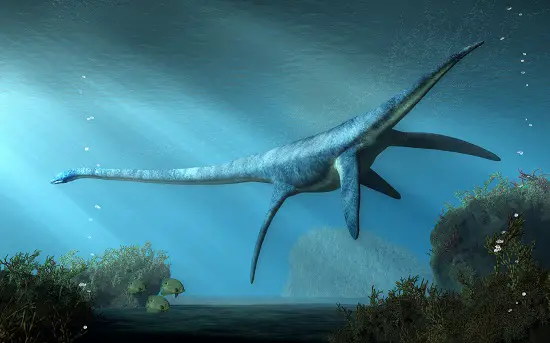 Dinosaur Facts Elasmosaurus Facts longest neck plesiosaur marine reptile