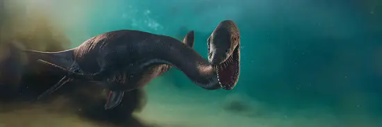 Dinosaur Facts Elasmosaurus Facts longest neck plesiosaur
biggest water dinosaur
