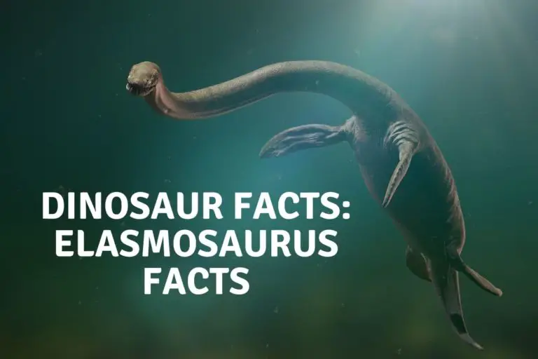 Dinosaur Facts: Elasmosaurus Facts