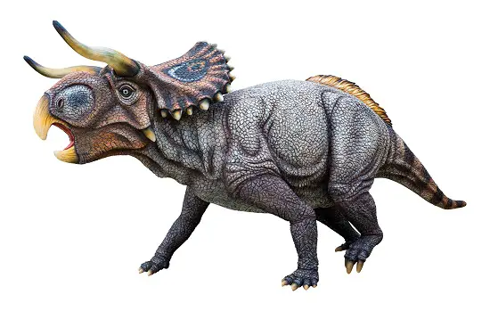 Nasutoceratops 75 million years, when did live, herds, horns