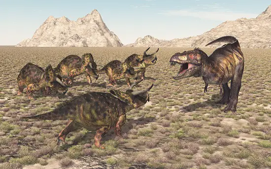 Nasutoceratops live in herds? herd of Nasutoceratops