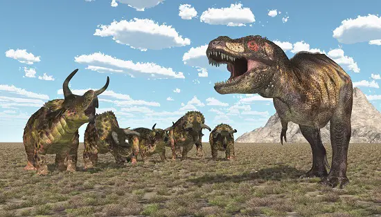 Nasutoceratops herds, Nasutoceratops t rex, Nasutoceratops horns long