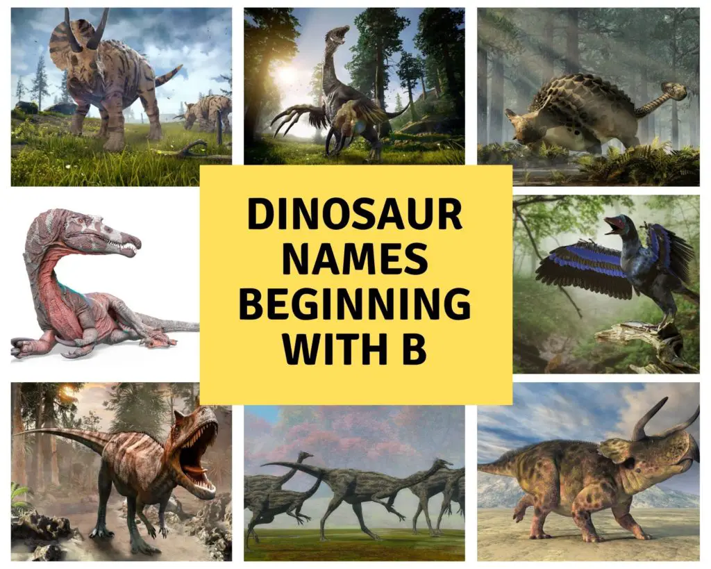 Dinosaur Names Beginning With B