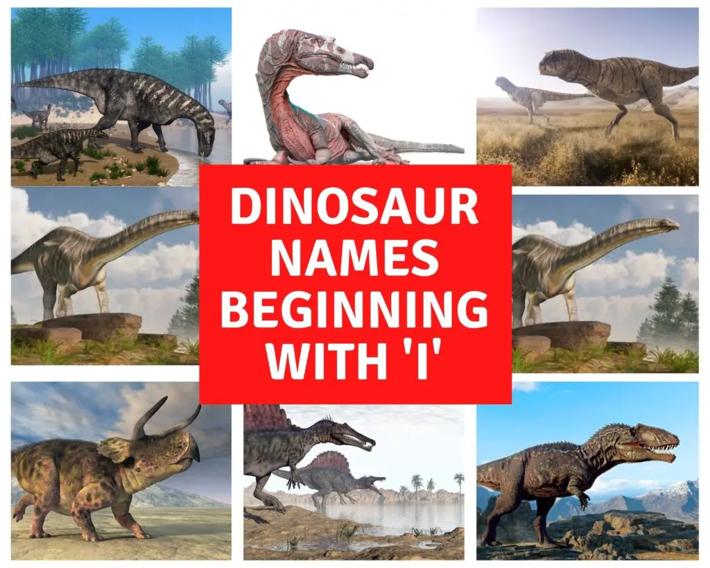Dinosaur Names Beginning with I