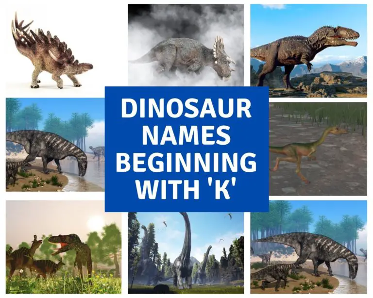 Dinosaur Names Beginning With K