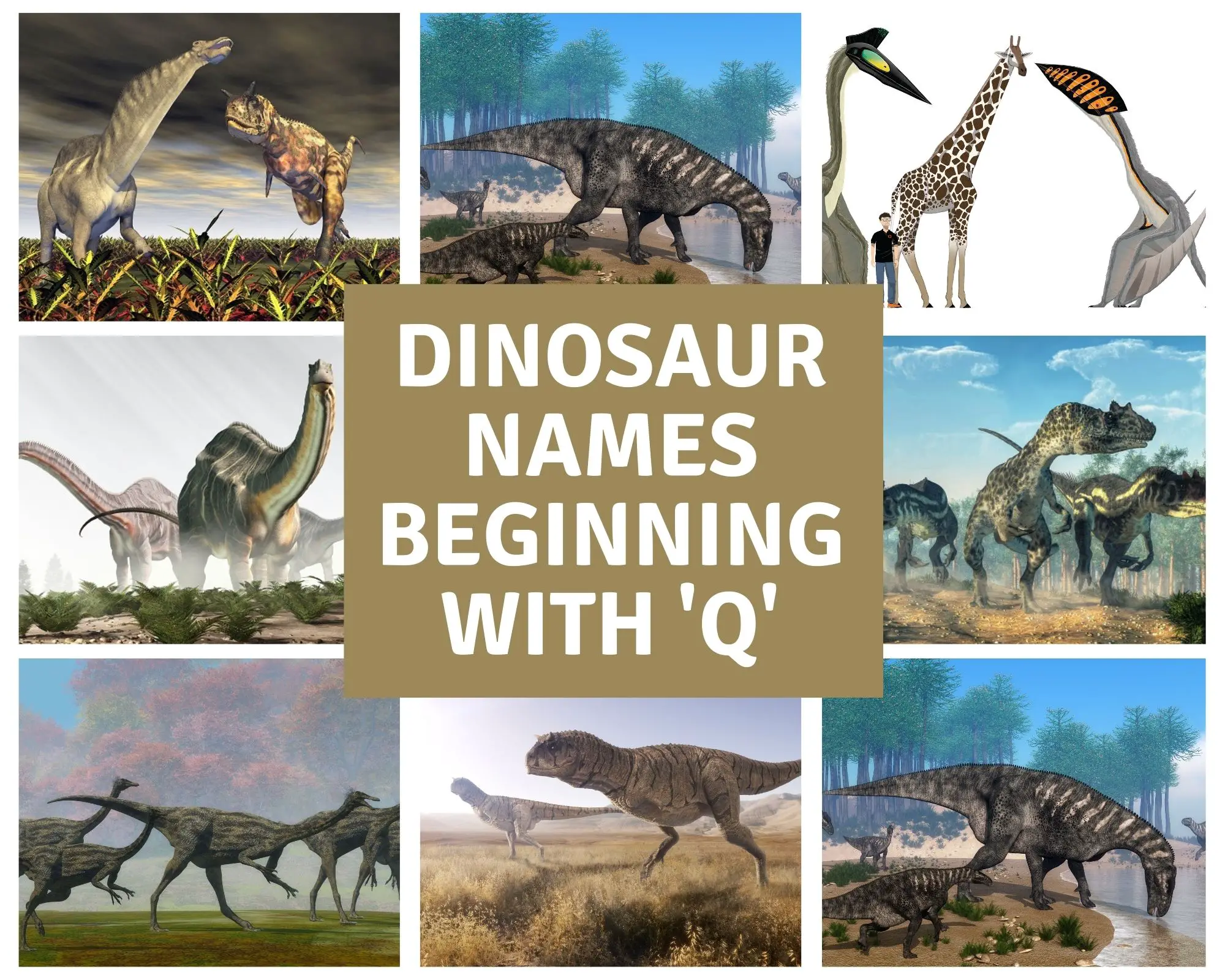 Dinosaur names beginning with Q