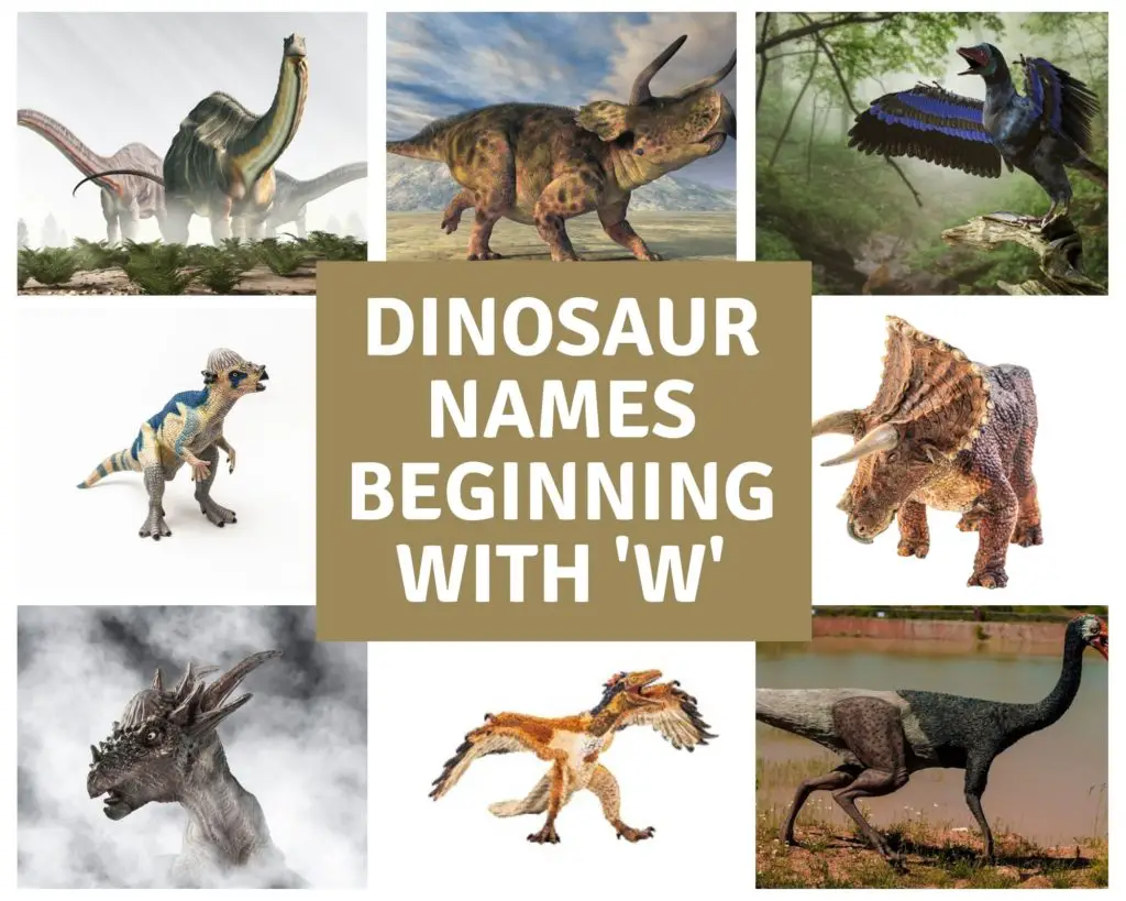 Dinosaur names beginning with W