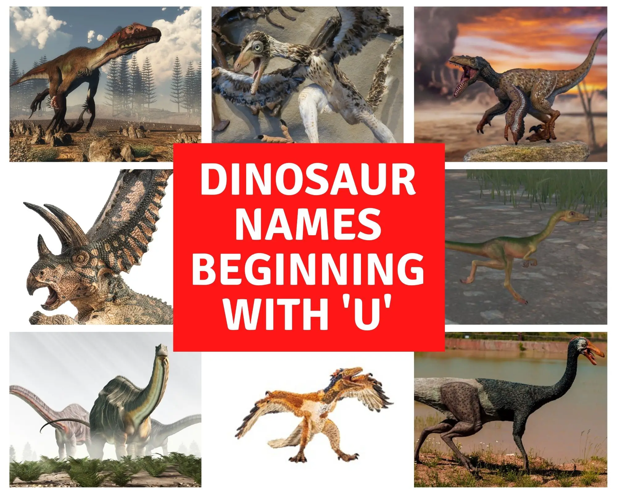 Dinosaur Names beginning with U