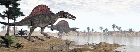 How Big Was a Spinosaurus