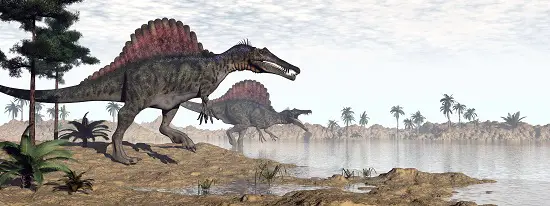 How Big Was A Spinosaurus? - Dinosaur Facts For Kids