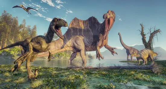 spinosaurus
T-Rex vs. Spinosaurus