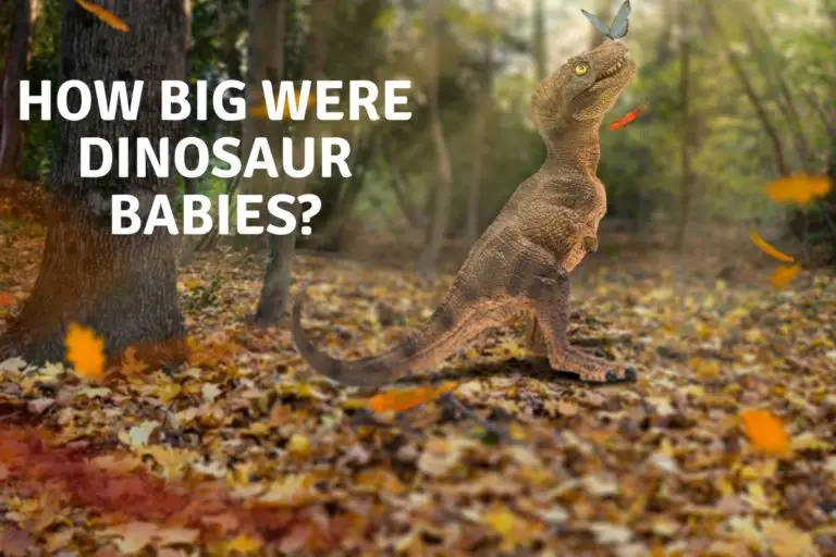How Big Were Dinosaur Babies?