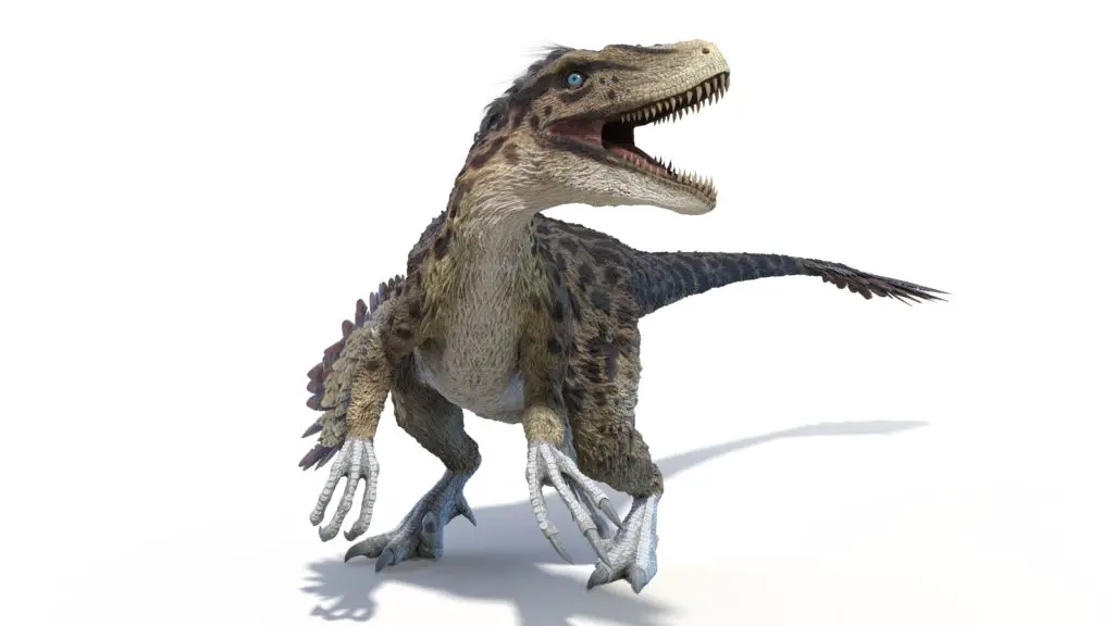 A to Z of Dinosaurs - Dakotaraptor