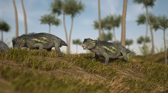 Lystrosaurus lystrosaurus facts