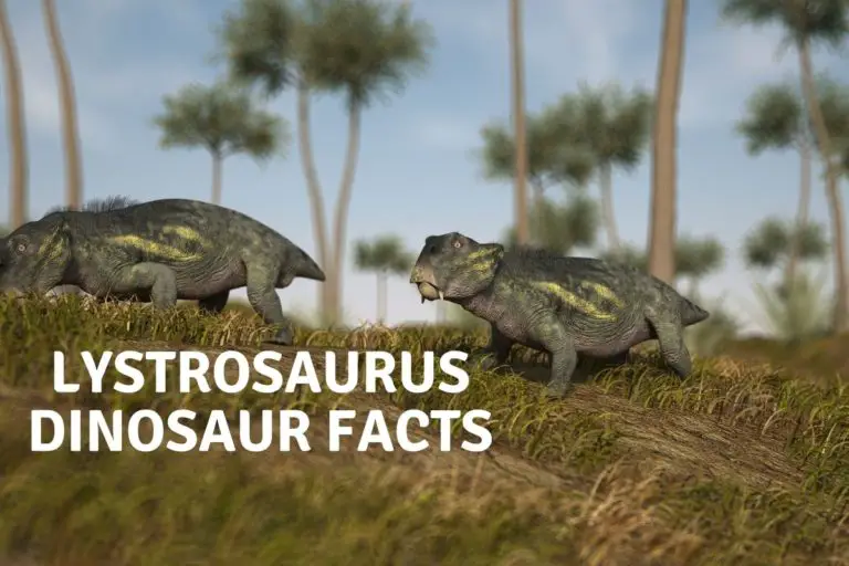 Dinosaur Facts: Lystrosaurus