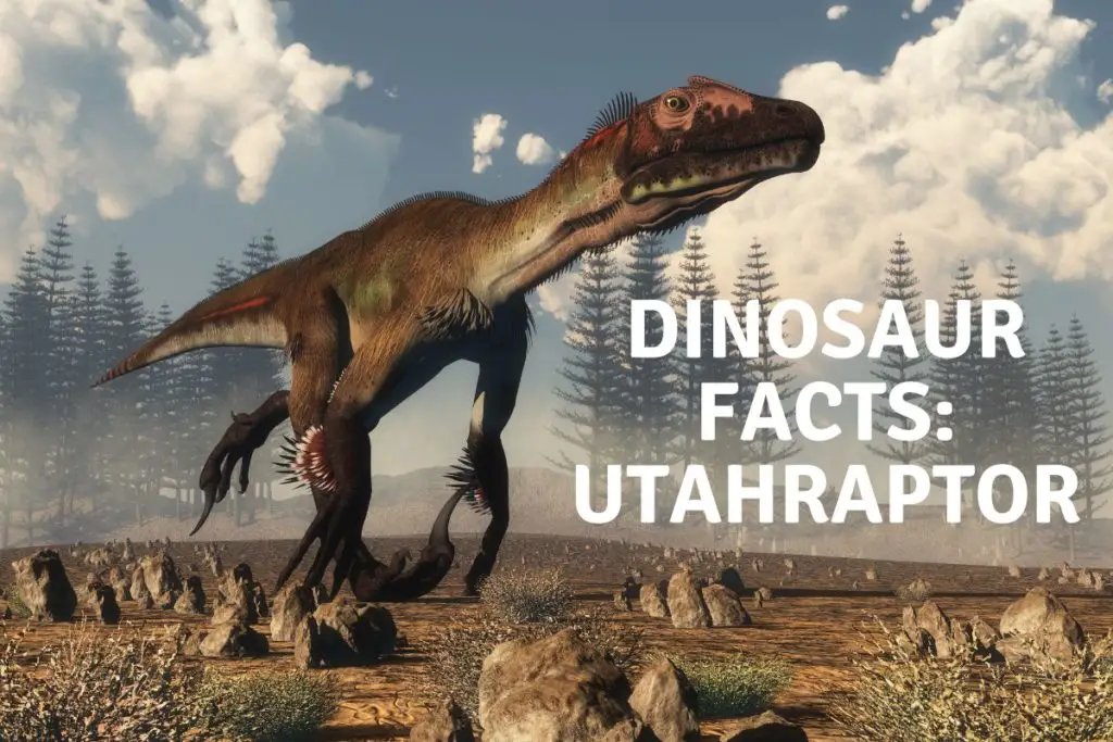 Utahraptor facts and stats
