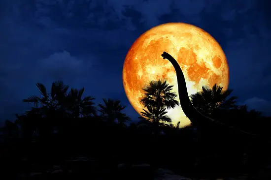Where There Nocturnal Dinosaurs