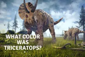 What Color Was Triceratops