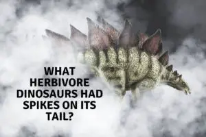 What Herbivore Dinosaurs Had Spikes On Its Tail