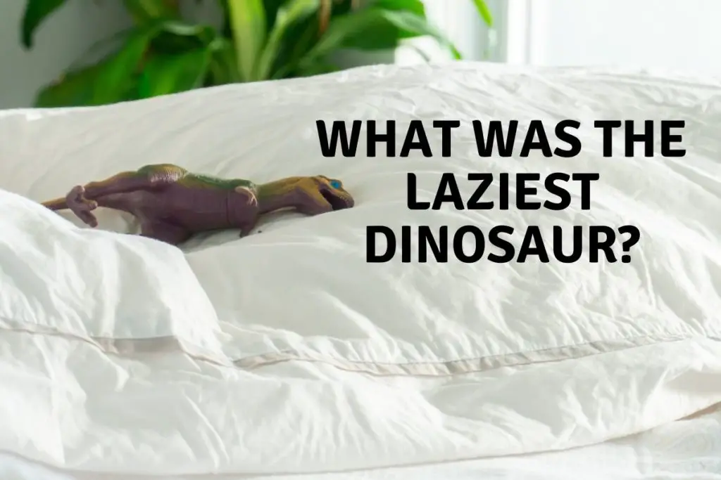 What was the Laziest dinosaur, lazy dinosaur, sleeping dinosaur
