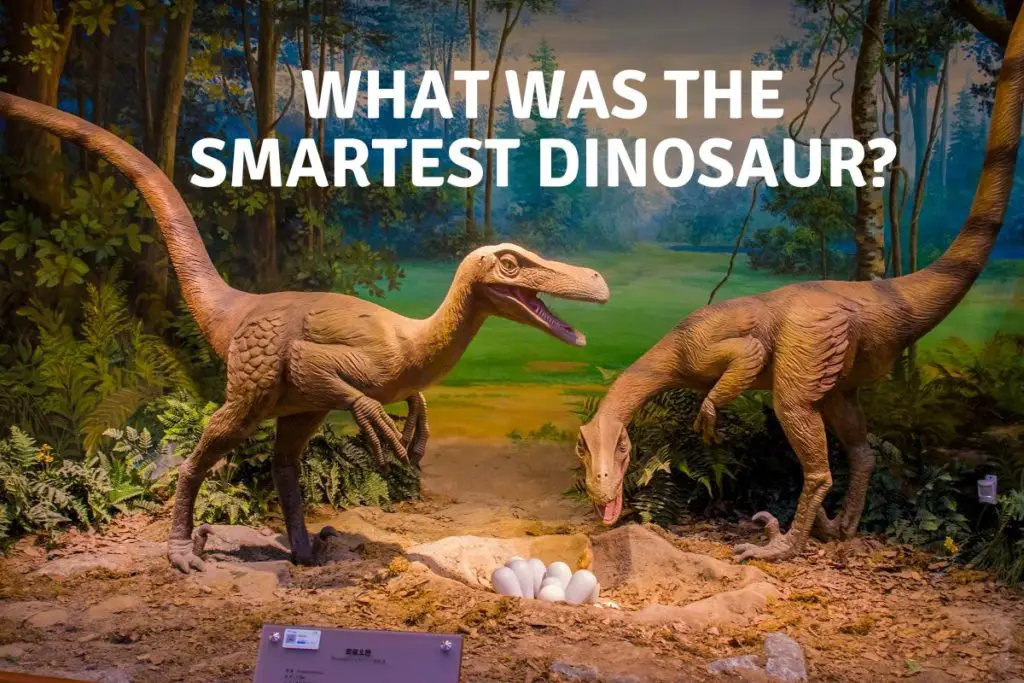 What was the Smartest Dinosaur