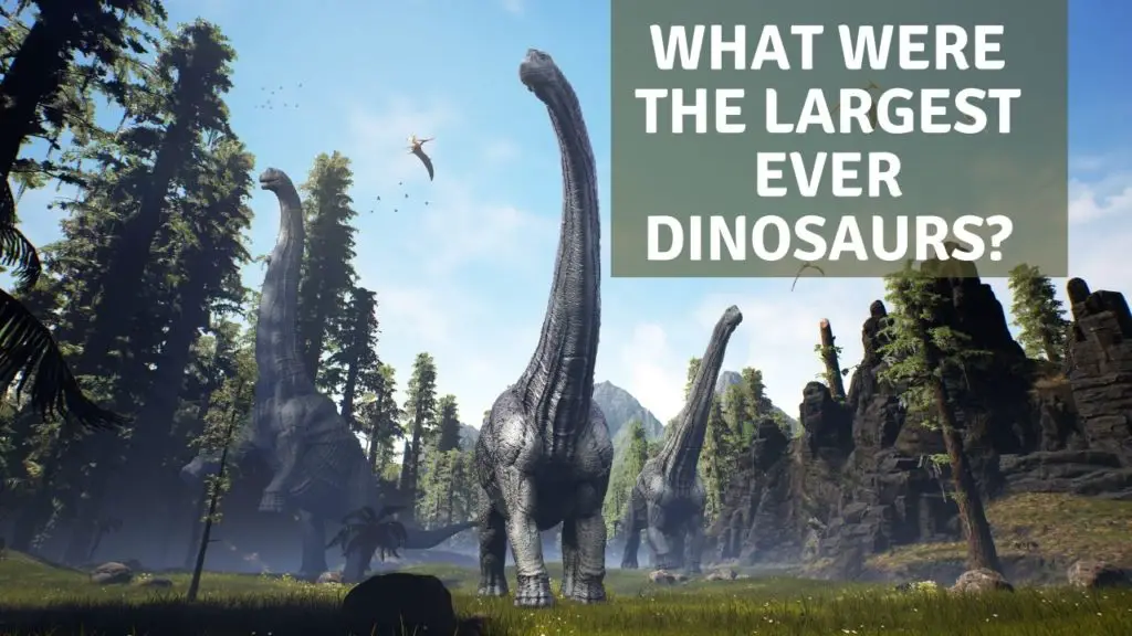 What was the largest dinosaur ever