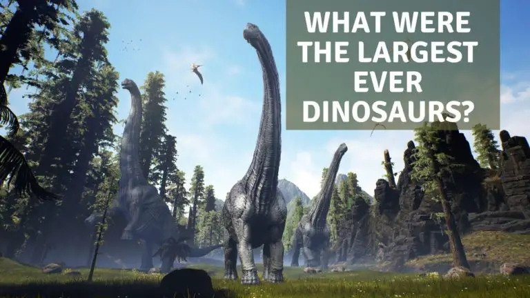 What Were The Largest Ever Dinosaurs?