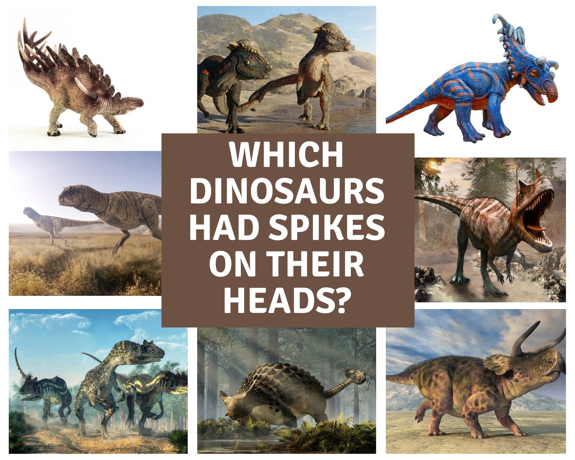 Which Dinosaurs Had Spikes On Their Heads Dinosaur Facts For Kids
