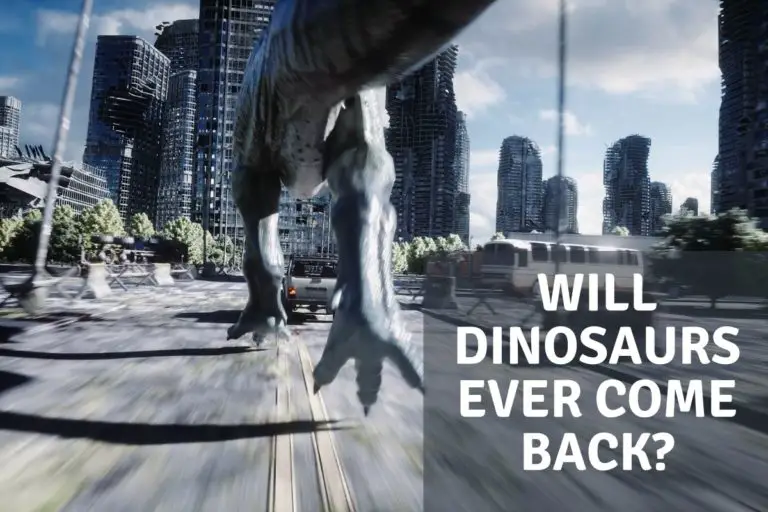 Will Dinosaurs Ever Come Back?