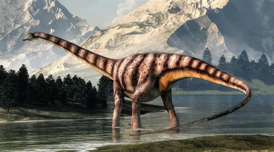barosaurus biggest ever dinsoaur, how heavy was a , how big was a how long was a