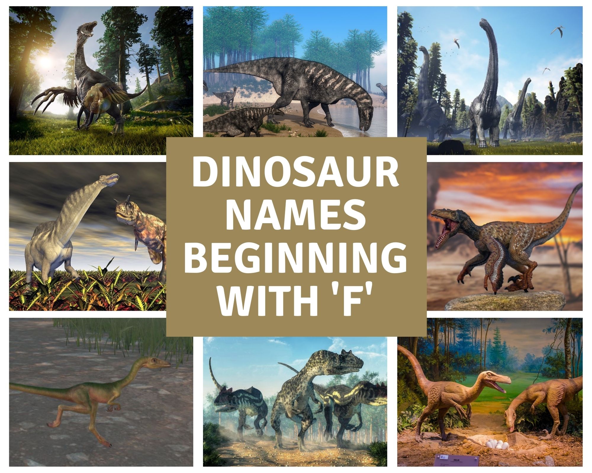 Dinosaur Names Beginning With F - Dinosaur Facts For Kids