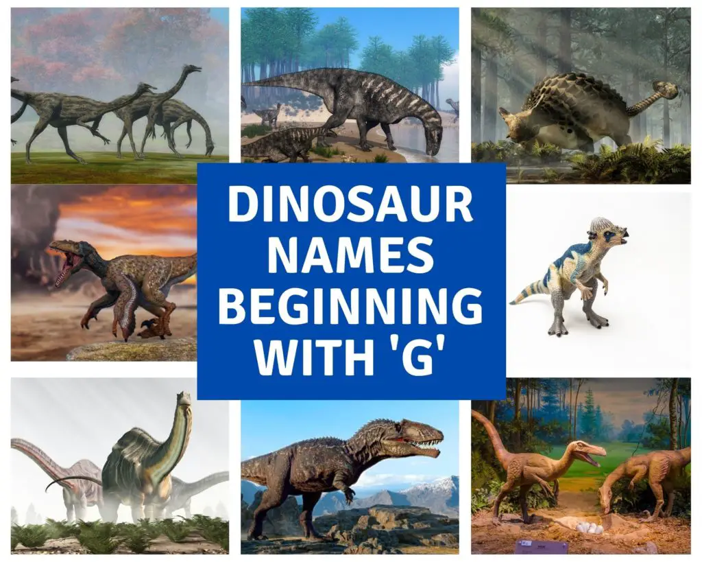 dinosaur names beginning with g