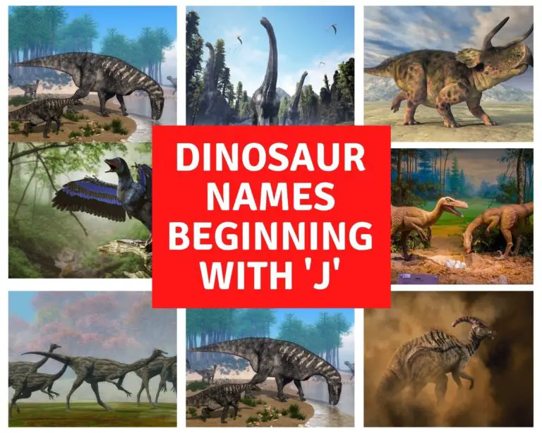 Dinosaur Names Beginning With J