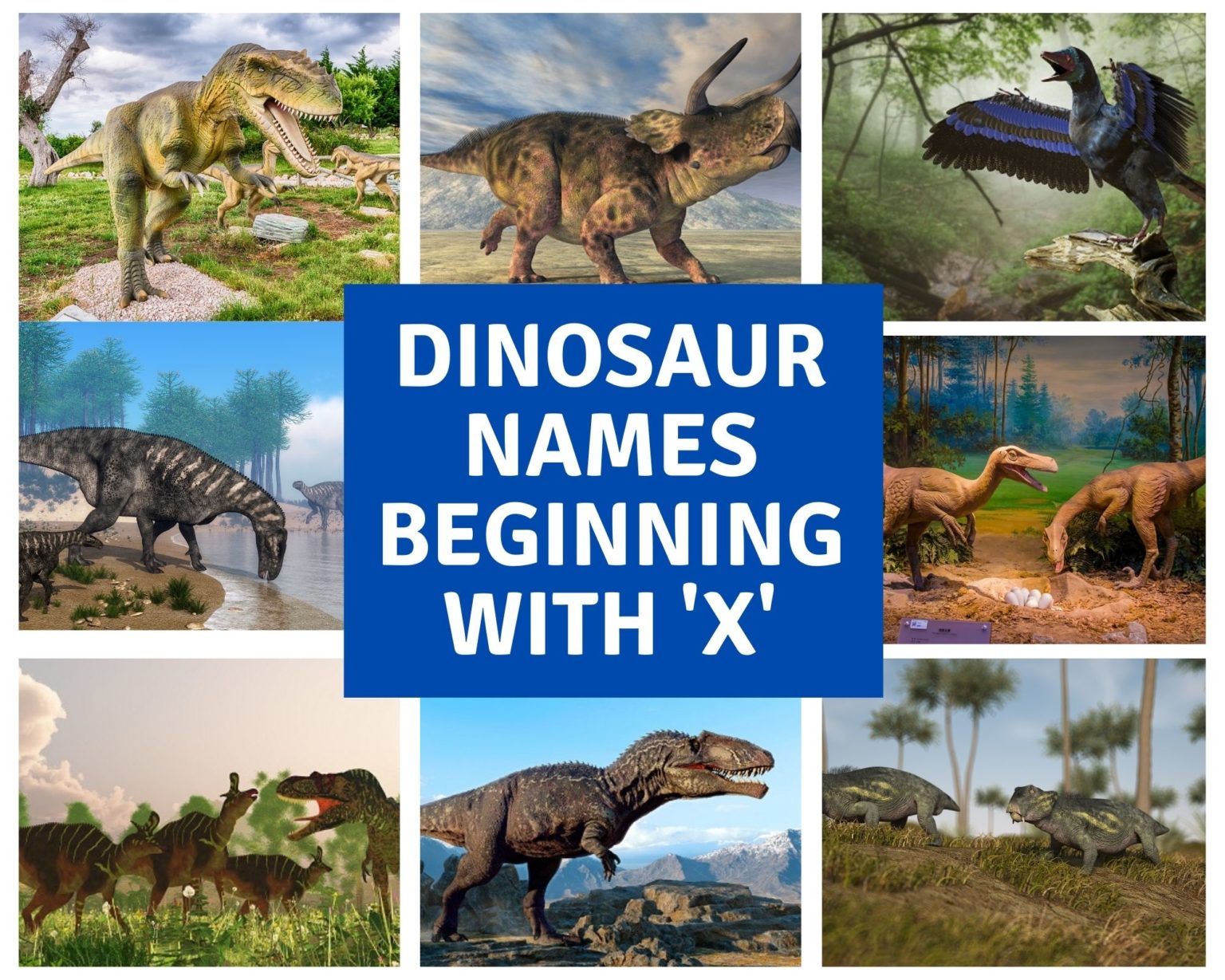 dinosaur-names-beginning-with-x-dinosaur-facts-for-kids