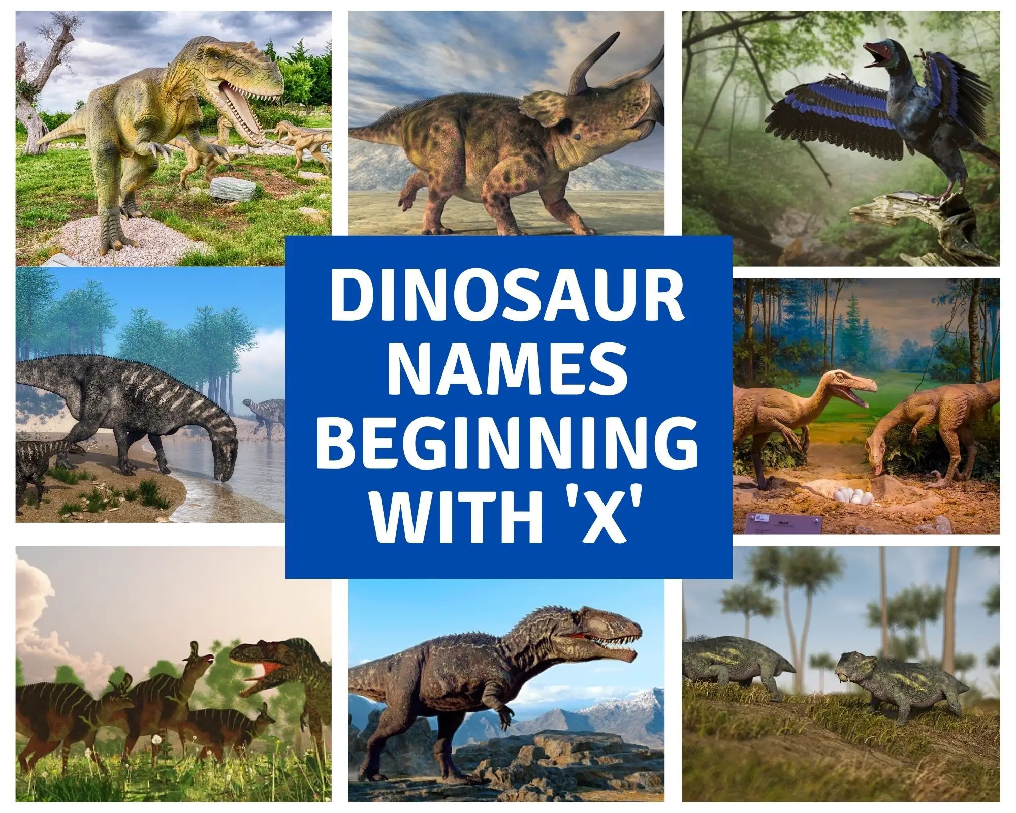 dinosaur names beginning with x