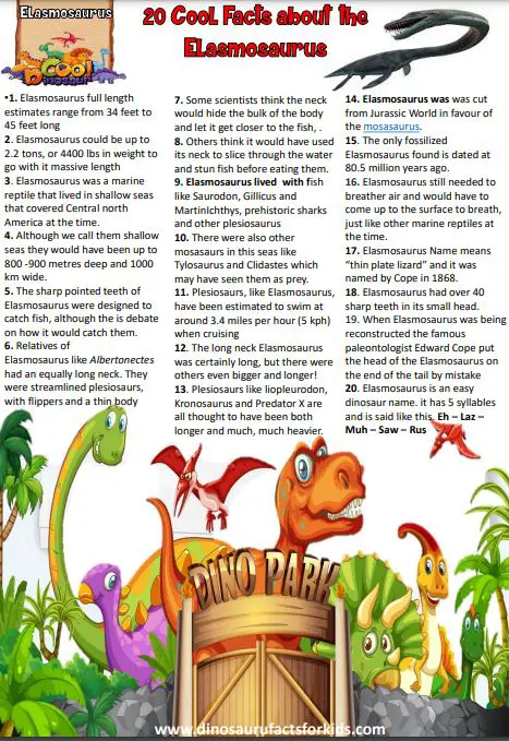 elasmosaurus fact sheet and worksheet