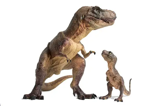 how big was T-Rex baby, dinosaur babies