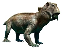 Lystrosaurus lystrosaurus facts