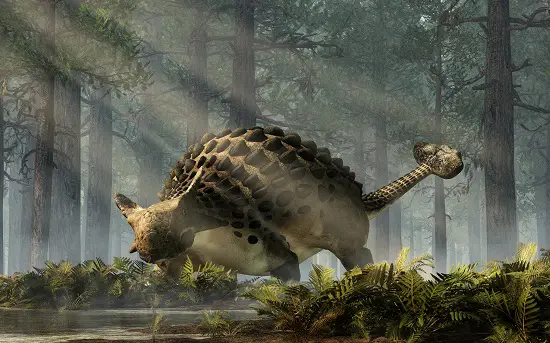 Ankylosaurus
dinosaurs with no tail
