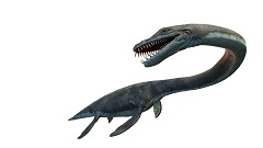 Dinosaur Facts Elasmosaurus Facts