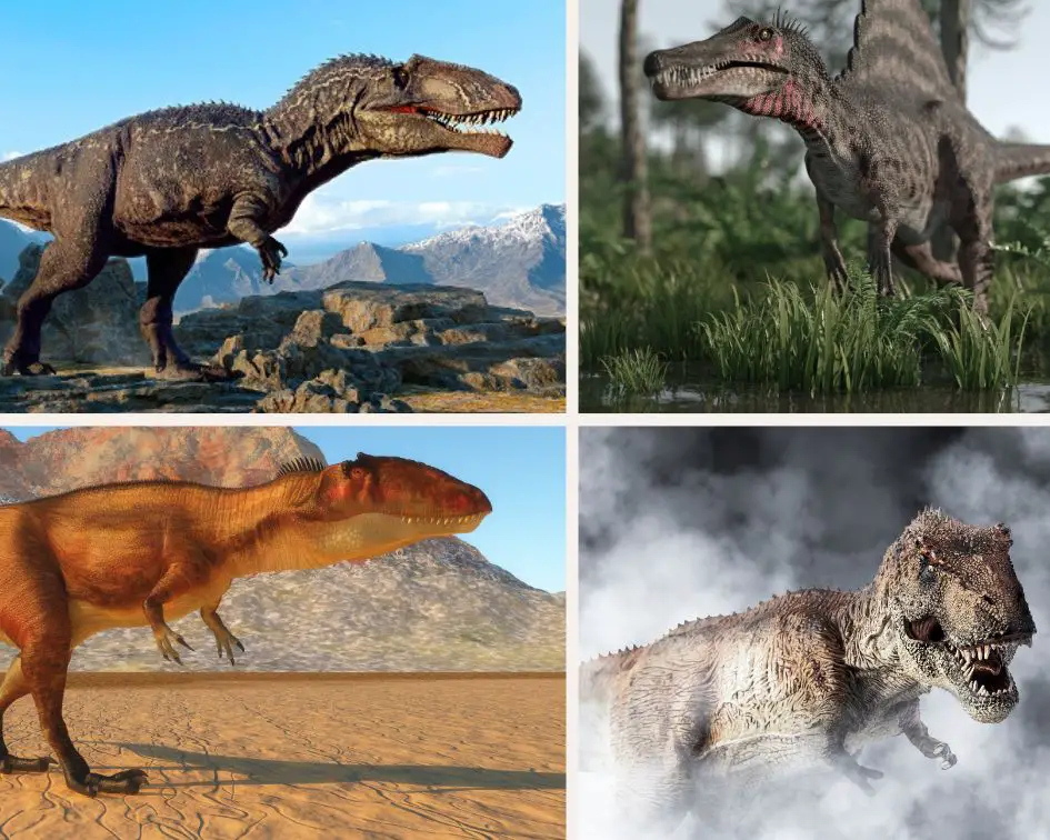 size comparision Spinosaurus trex giga carcharodontosaurus