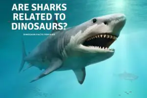 Are Sharks Related to Dinosaurs