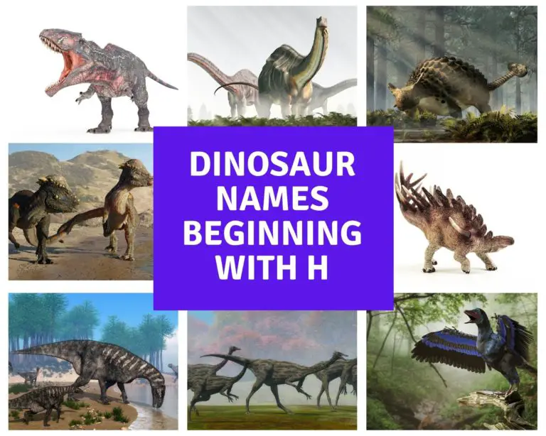 Dinosaur Names Beginning With H